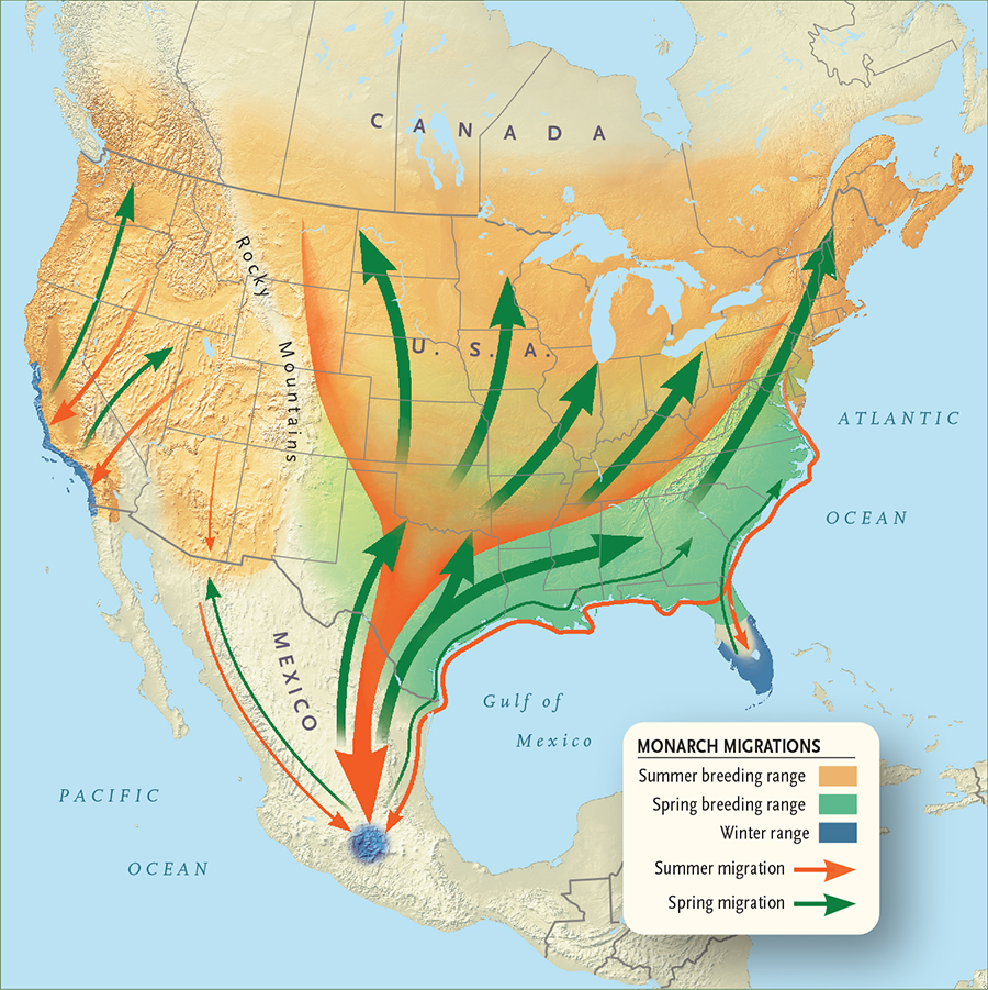 Monarch Migration Map