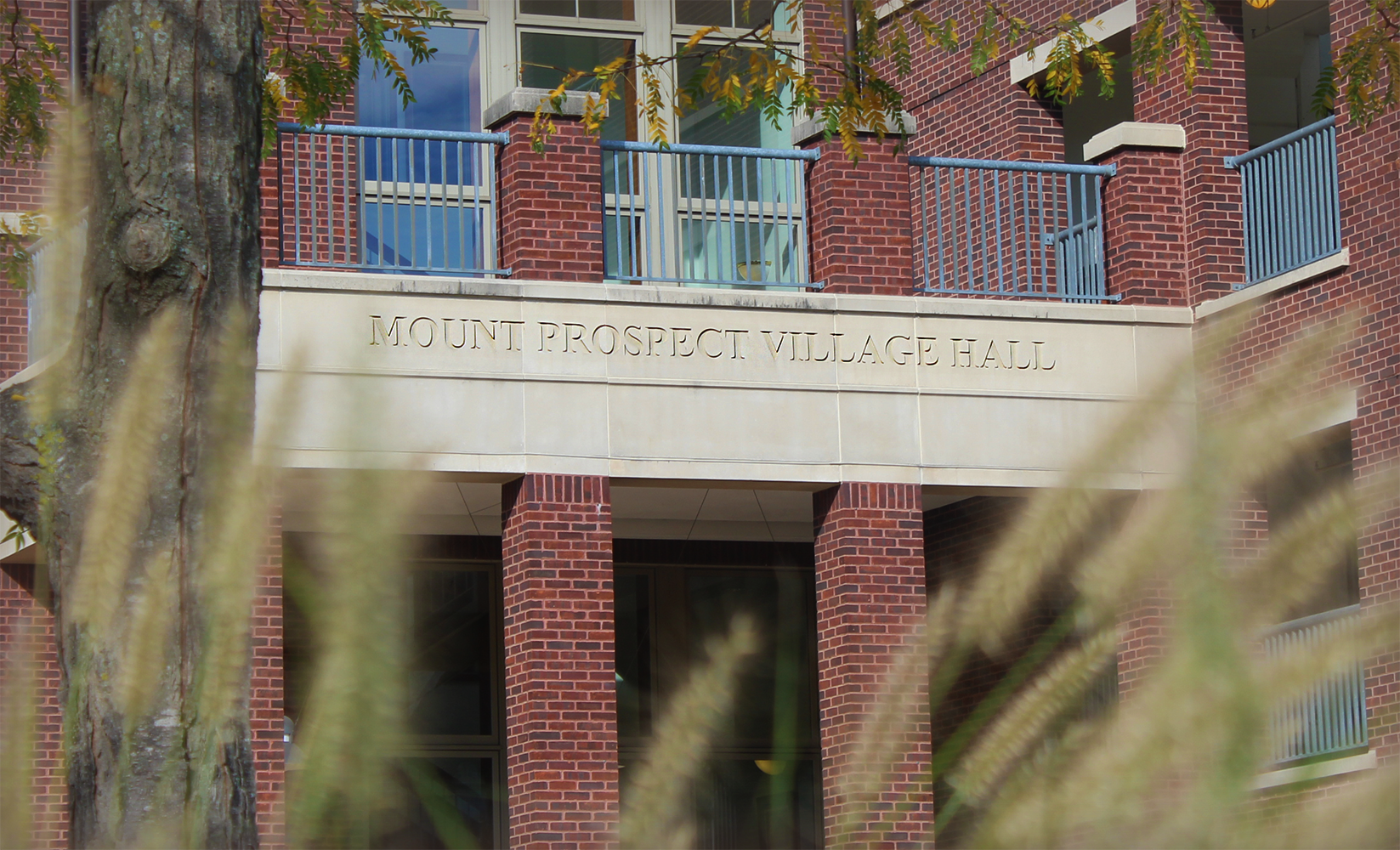 Front of Mount Prospect Village Hall zoomed in on the words Mount Prospect Village Hall inscribed in stone above the front door. Fall plantings are in the foreground along with a tree and leaves changing from green to yellow.