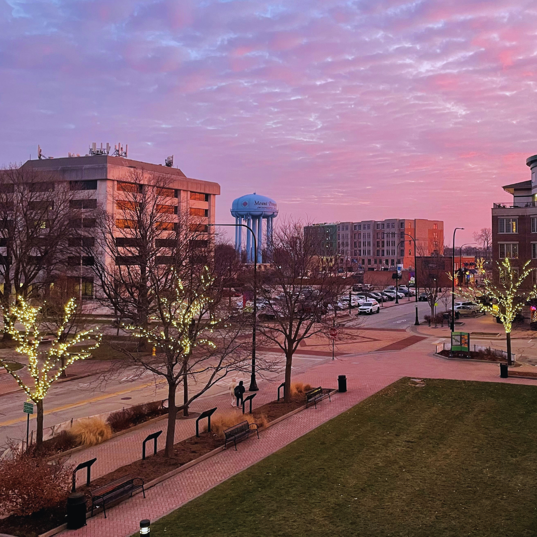 Winter landscape of downtown mount prospect looking south showing a vibrant pink and purple sunset and white string lights on the trees.