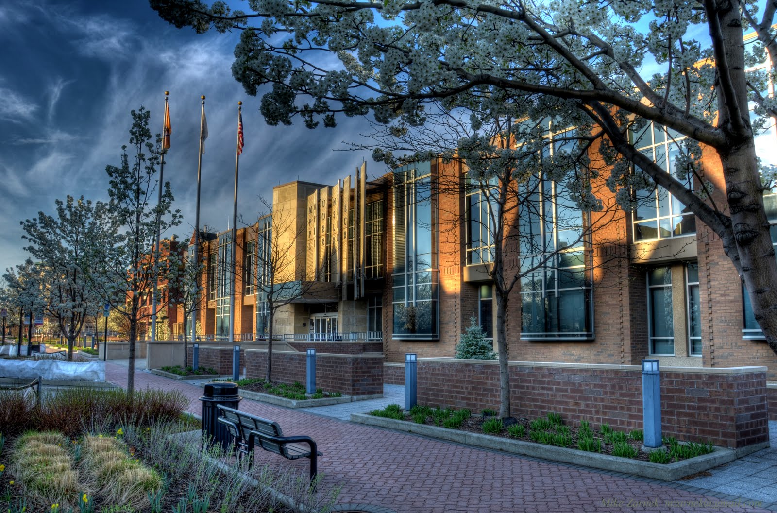 MP Public Library Spring 2012