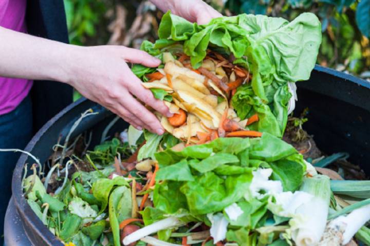 A person’s hands placing food scraps, including lettuce leaves and vegetable peels, into a bin for organic waste composting.